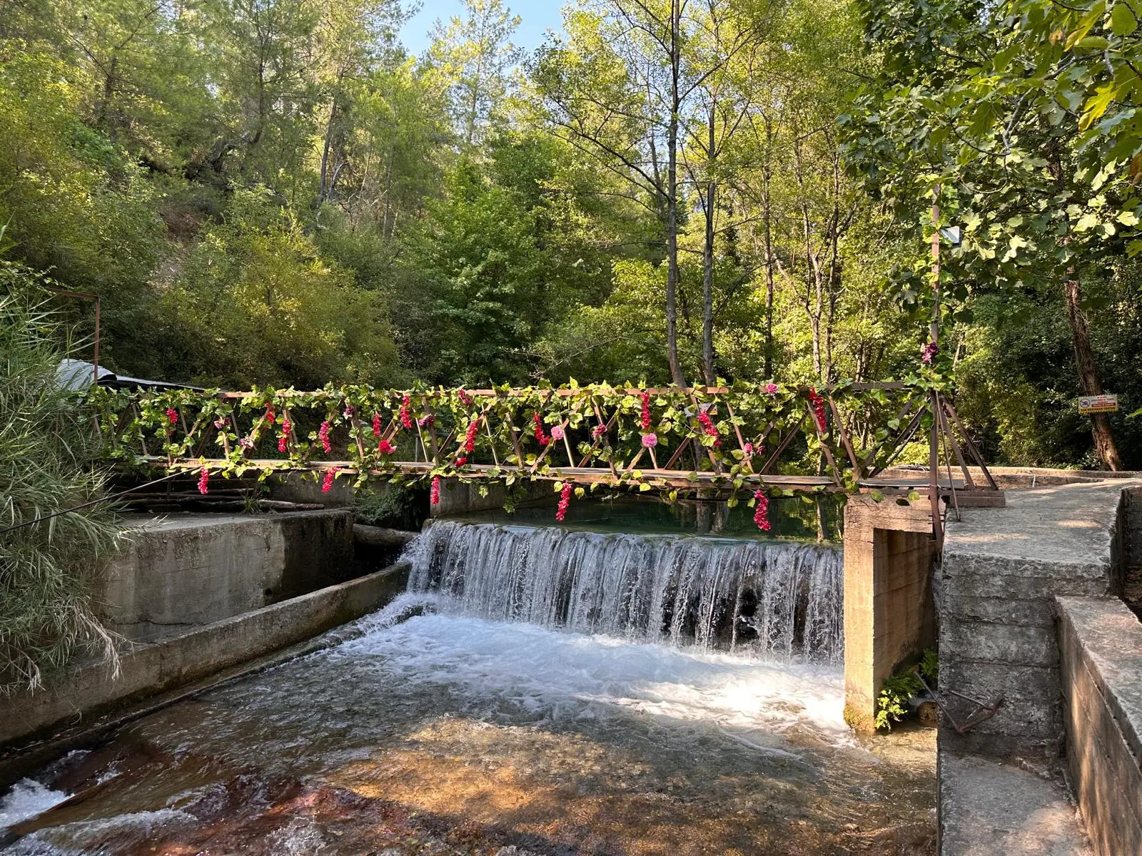 Köyceğiz Yuvarlakçay Akarsu Restaurant'tan bir kare.