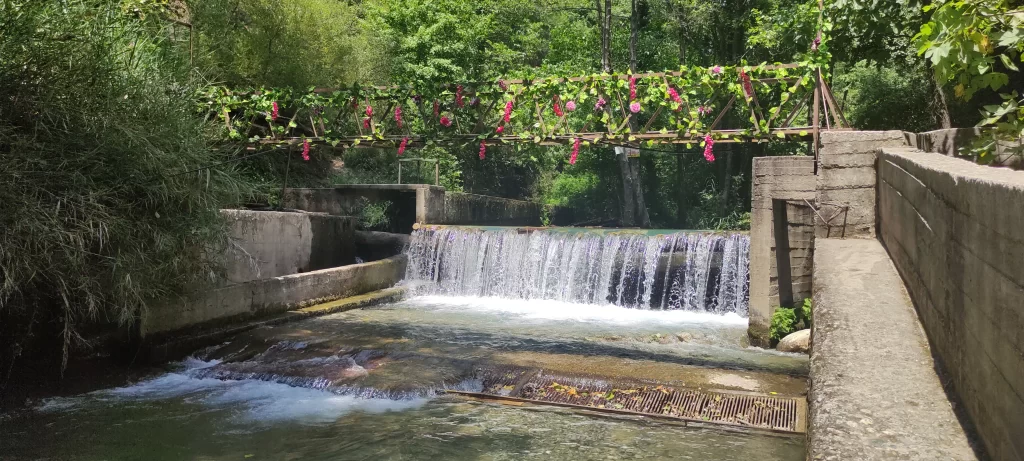 Köyceğiz Yuvarlakçay Akarsu Restaurant'tan bir kare.
