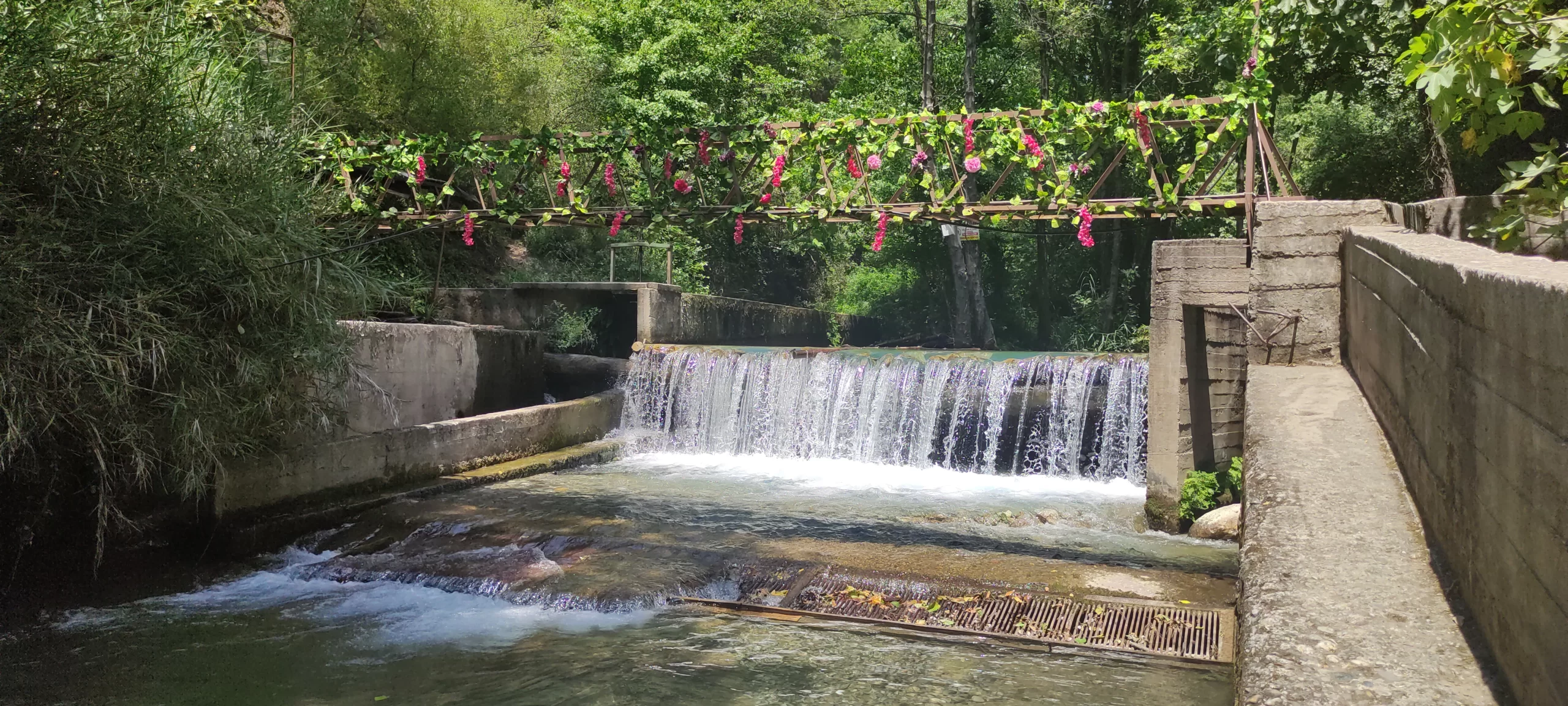 Köyceğiz Yuvarlakçay Akarsu Restaurant'tan bir kare.