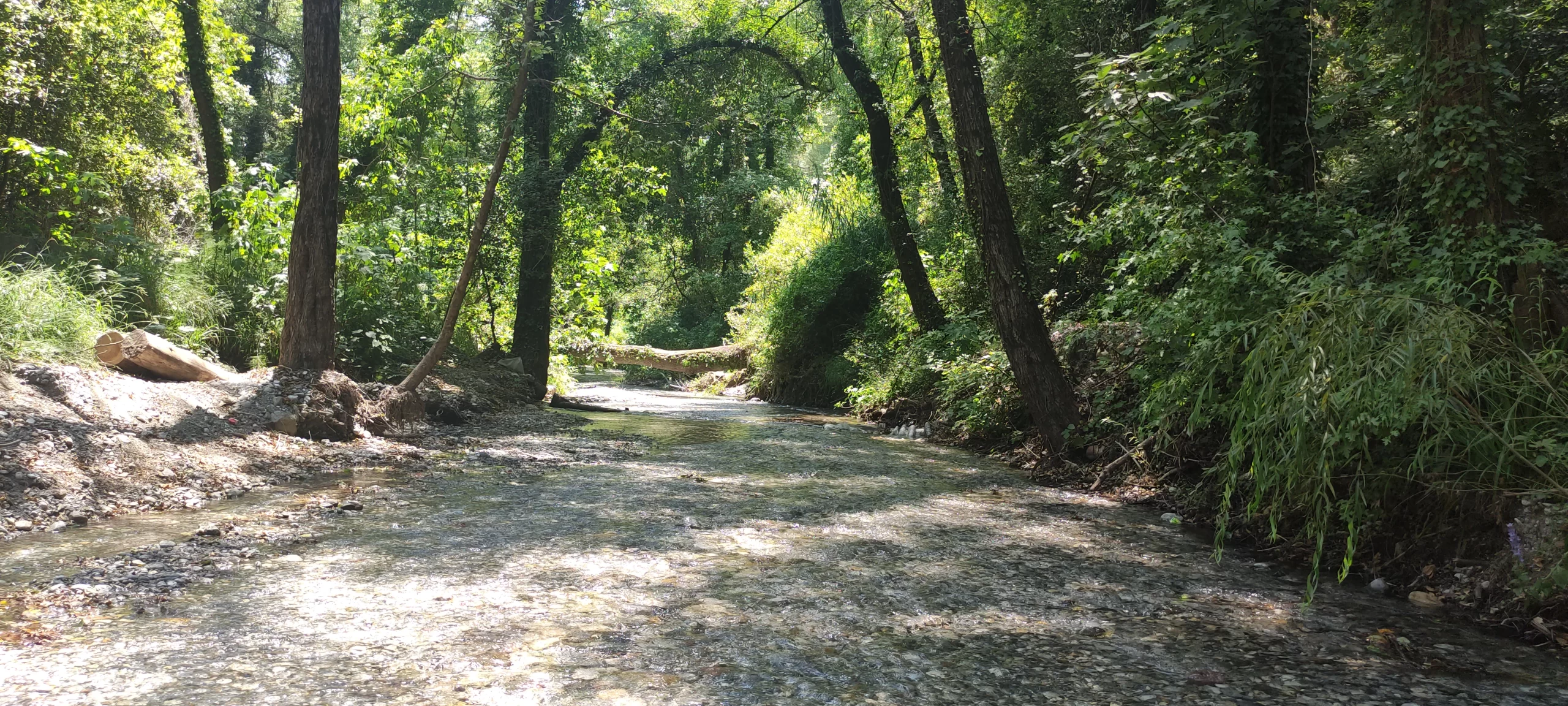 Köyceğiz Yuvarlakçay Akarsu Restaurant'tan bir kare.