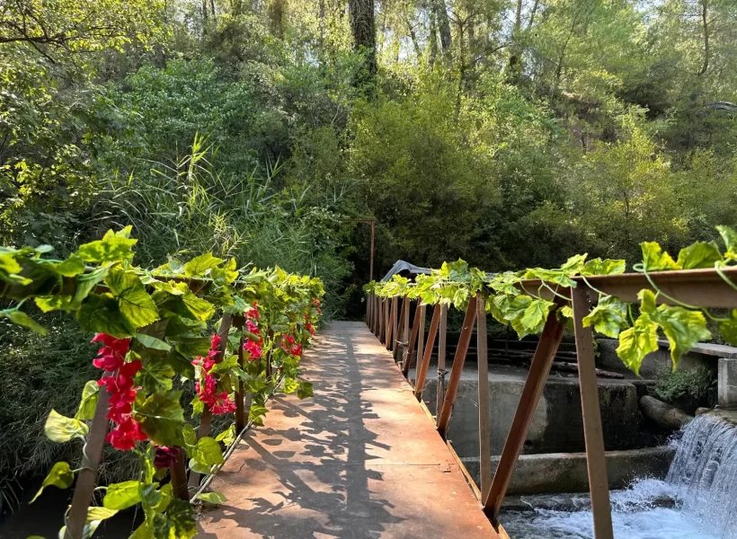 Köyceğiz Yuvarlakçay Akarsu Restaurant'tan bir kare.