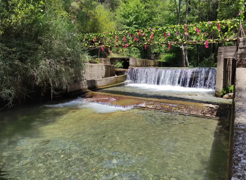 Köyceğiz Yuvarlakçay Akarsu Restaurant'tan bir kare.