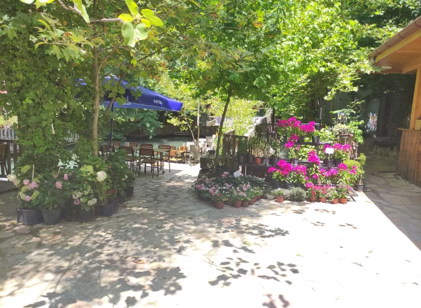 Köyceğiz Yuvarlakçay Akarsu Restaurant'tan bir kare.