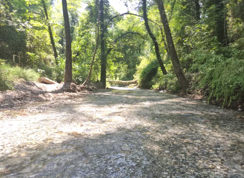 Köyceğiz Yuvarlakçay Akarsu Restaurant'tan bir kare.